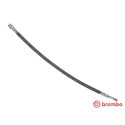 Tubo flexible de frenos