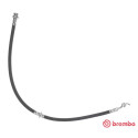 Tubo flexible de frenos