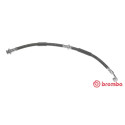 Tubo flexible de frenos