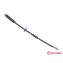 Tubo flexible de frenos