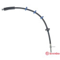 Tubo flexible de frenos