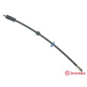 Tubo flexible de frenos