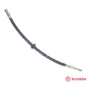 Tubo flexible de frenos