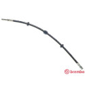 Tubo flexible de frenos