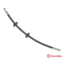 Tubo flexible de frenos