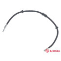 Tubo flexible de frenos