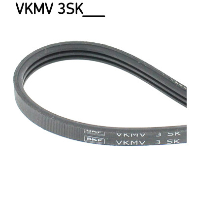 Cinghia Poly-V