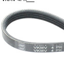 Cinghia Poly-V