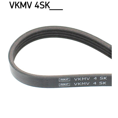 Cinghia Poly-V