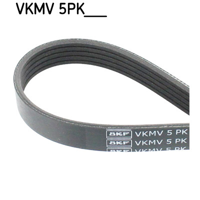 Cinghia Poly-V