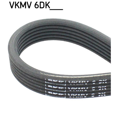 Cinghia Poly-V