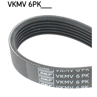 Cinghia Poly-V