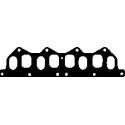 Guarnizione, collettore di aspirazione/scarico GLASER X51324-01