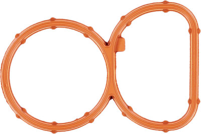 Guarnizione, collettore di aspirazione GLASER X89893-01