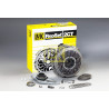 Kit frizione LuK RepSet 2CT 602 0002 00