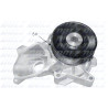 Pompa dell&#39;acqua DOLZ B221