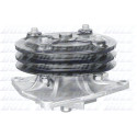 Pompa acqua DOLZ H208