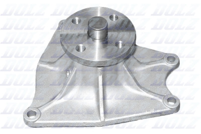 Pompa dell'acqua DOLZ H208SP