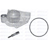 Pompa dell&#39;acqua DOLZ M243