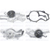 Pompa dell&#39;acqua DOLZ M245
