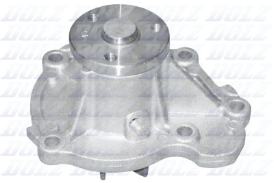Pompa dell'acqua DOLZ N112