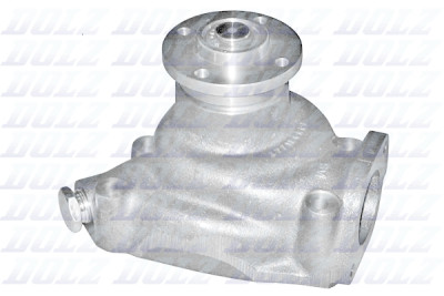 Pompa dell'acqua DOLZ P317