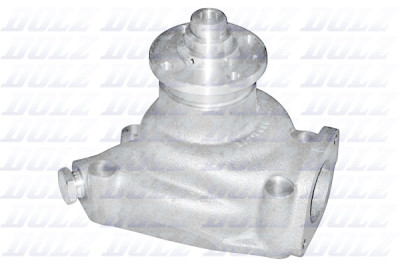 Pompa dell'acqua DOLZ P318