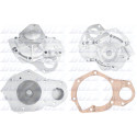 Pompa acqua DOLZ R131