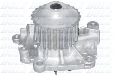 Pompa dell'acqua DOLZ R301
