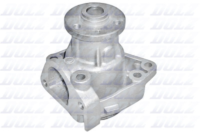 Pompa dell'acqua DOLZ S166