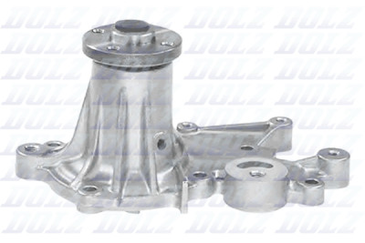 Pompa dell'acqua DOLZ S202