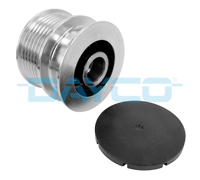 Ruota libera alternatore DAYCO ALP2450