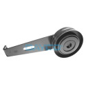 Tendicinghia, Cinghia Poly-V