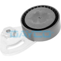 Tendicinghia, Cinghia Poly-V