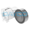 Tendicinghia, Cinghia Poly-V