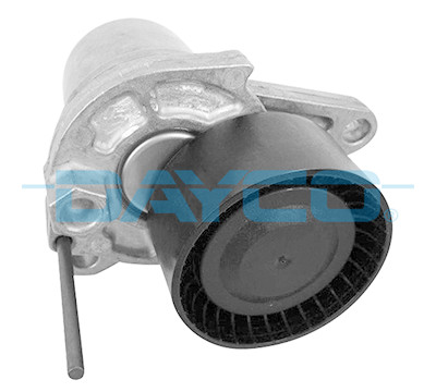Tendicinghia, Cinghia Poly-V