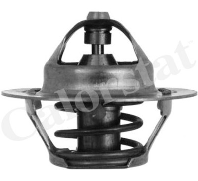 Termostato, Refrigerante CALORSTAT di Vernet TH5075.88J