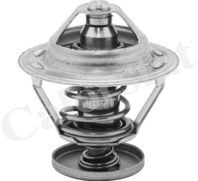 Termostato, Refrigerante CALORSTAT di Vernet TH5079.82J