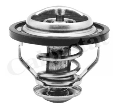 Termostato, Refrigerante CALORSTAT di Vernet TH5130.83J