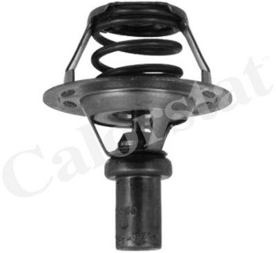 Termostato, Refrigerante CALORSTAT di Vernet TH5284.91J