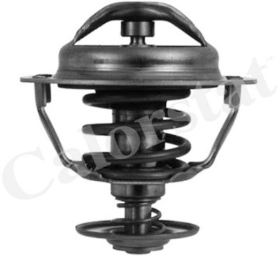 Termostato, Refrigerante CALORSTAT di Vernet TH5446.83J