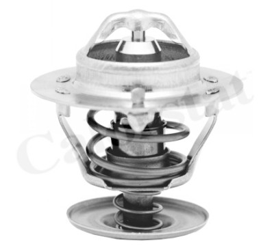 Termostato, Refrigerante CALORSTAT di Vernet TH5750.88J