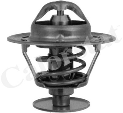 Termostato, Refrigerante CALORSTAT di Vernet TH5792.76J