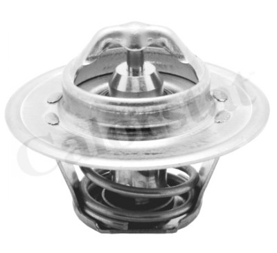 Termostato, Refrigerante CALORSTAT di Vernet TH5962.88J