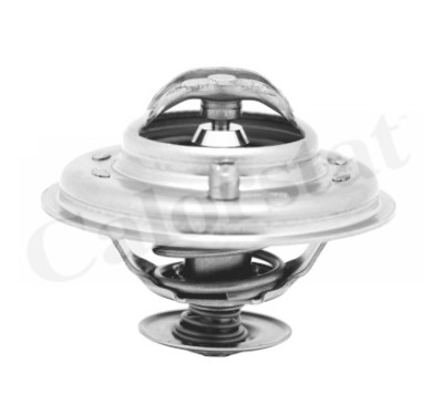 Termostato, Refrigerante CALORSTAT di Vernet TH5973.80J