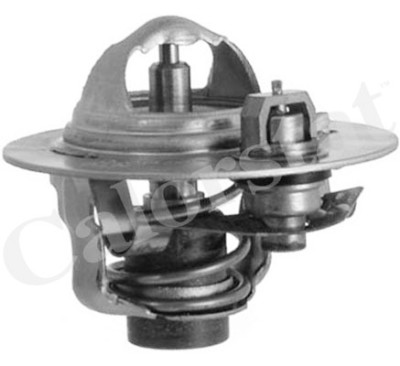 Termostato, Refrigerante CALORSTAT di Vernet TH5980.88J