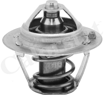 Termostato, Refrigerante CALORSTAT di Vernet TH6245.82J