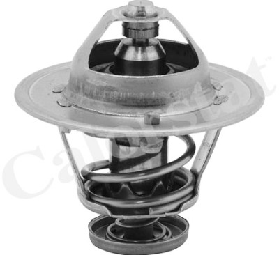 Termostato, Refrigerante CALORSTAT di Vernet TH6252.85J