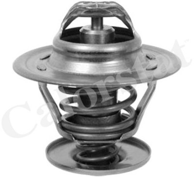 Termostato, Refrigerante CALORSTAT di Vernet TH6273.87J