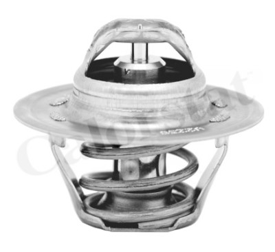 Termostato, Refrigerante CALORSTAT di Vernet TH6276.87J